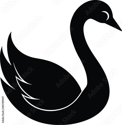 Swan bird elegant water avian vector illustration on white background