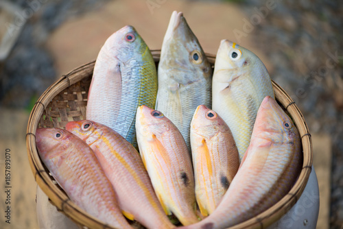 Fresh fish on bamboo basket