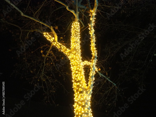 Garlands of glowing small bulbs, hanging on a tree in an evening dark park, and swinging. The theme of the New Year and Christmas. Festive atmosphere. Beautiful electric outdoor decorations. Xmas joy
