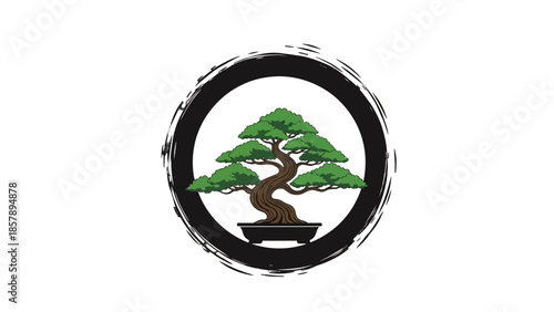 Beautiful Green Bonsai Tree in Pot in Zen Enso Circle, Traditional Japanese Art, Isolated White Background