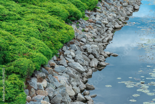 Using natural decorative stone in pond design. White water lilies or lotus flowers surrounded by stones and bushes. Pond landscaping. Idea of artificial decorative pond in landscape design.