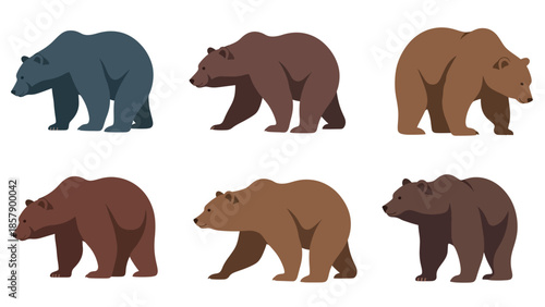 Modern vector illustration of bear in six different poses, friendly flat wildlife animal set isolated on white background, ideal for education and kids content