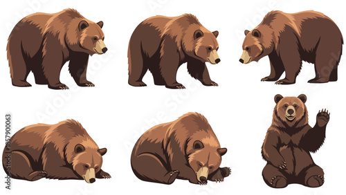 Modern vector illustration of bear in six different poses, friendly flat wildlife animal set isolated on white background, ideal for education and kids content