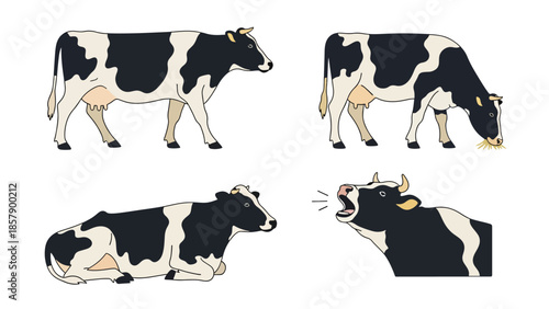 Modern vector illustration of cow in various poses, flat farm animal set isolated on white background, ideal for agriculture, education, and food branding