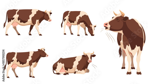 Modern vector illustration of cow in various poses, flat farm animal set isolated on white background, ideal for agriculture, education, and food branding