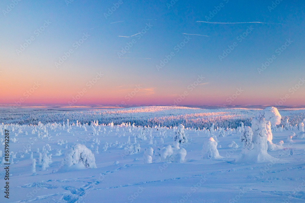 Obraz premium winter landscape with snow