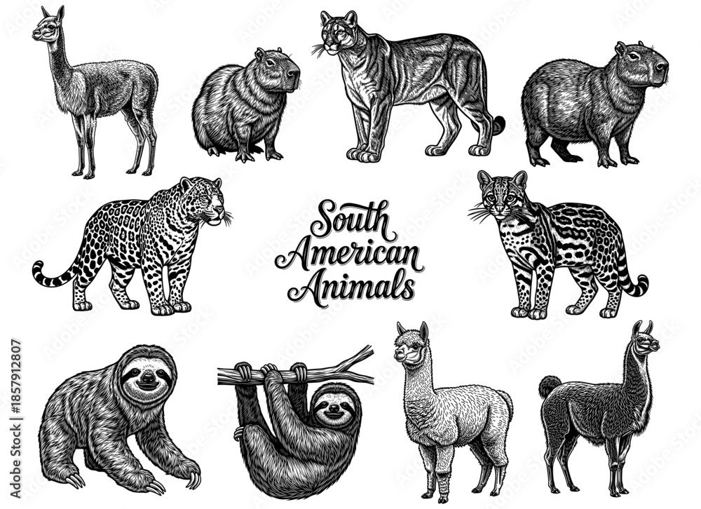 Fototapeta premium Collection of South American animals in line art