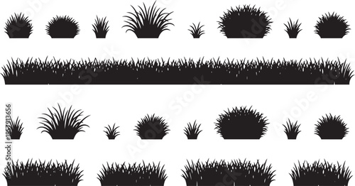 Grass Silhouette Vector Set: Collection of Nature Borders, Lawn Tufts, and Meadow Elements