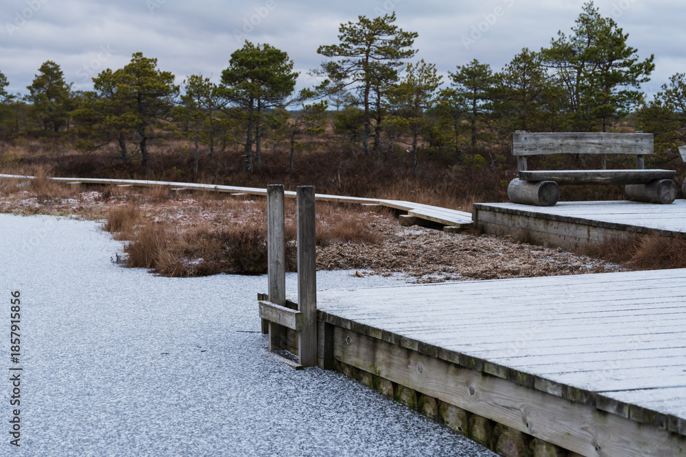Obraz premium Wooden boardwalk and bench on a frozen bog lake in Estonia during late autumn with frost covering the nature landscape.