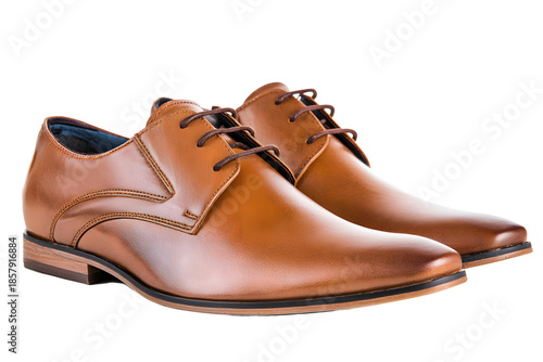 Men's brown dress shoes displayed on white background for fashion and style purposes
