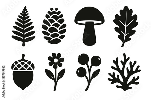 Woodland Plant Icons. Solid style icons of woodland plants: fern, pinecone, mushroom, oak leaf, acorn, wildflower, berry branch,