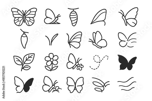 Butterfly Life Cycle. Line style icons of butterflies: open wings, perched insect, cocoon, caterpillar, chrysalis, antenna tip,