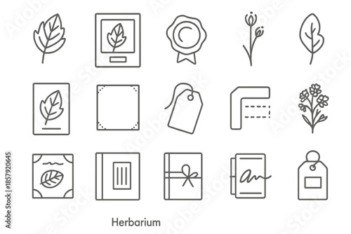Herbarium Design Icons. Line style icons of Herbarium Design: pressed leaf, labeled page, wax seal, dried stem, glass slide, paper