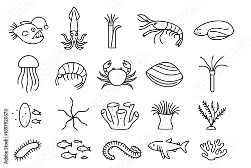 Deep Sea Icon Set. Line style icons of Deep Sea Life: anglerfish, giant squid, tube worm, shrimp, jellyfish, amphipod, crab, clam,