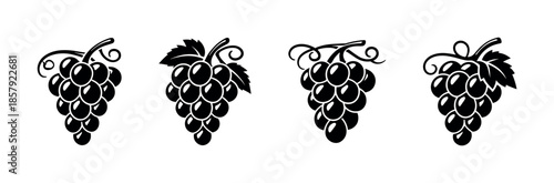 Grapes vector icons set. vineyard and wine symbols for design projects