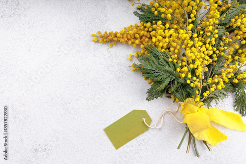 Tableau sur toile A fresh mimosa bouquet tied with a ribbon and a blank gift tag, ideal for person