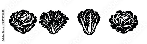 Vegetable vector icons set. leafy greens and salad illustrations