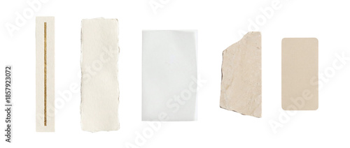 Scrapbook paper design elements featuring torn paper scraps for creative projects and collage making