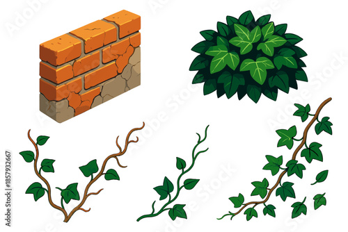 Vibrant Ivy Wall. Isometric vector illustration set Brick Wall Ivy: weathered brick wall, lush ivy cluster, climbing tendrils,