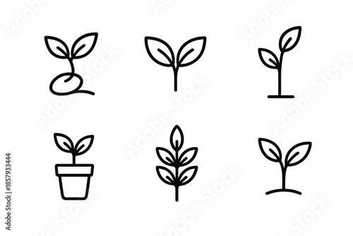 Botanical Line Icons. Line style icons of Plant: sprouting seedling, leaf pair, small stem, potted plant, branching leaf, young