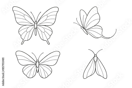Delicate Creature Icons. Line style icons of Delicate Creatures: fragile wings, gentle outline, calm flutter arc, fine shape,