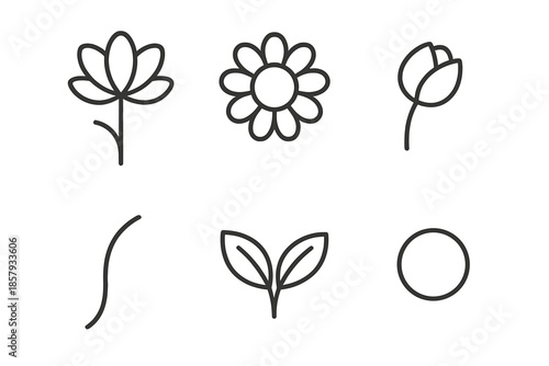 Floral Line Icons. Line style icons of Flower: blooming flower, petal ring, small bud, stem curve, leaf pair, round center. No