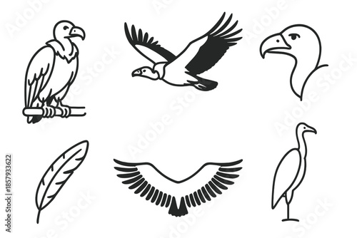 Vulture Line Icons. Line style icons of Vulture: perched vulture, flying vulture, curved beak, broad wings, feather arc, slender