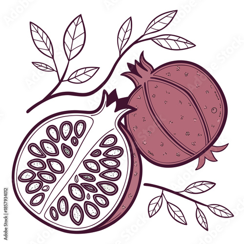 Red Pomegranate Fruit Flat Graphic