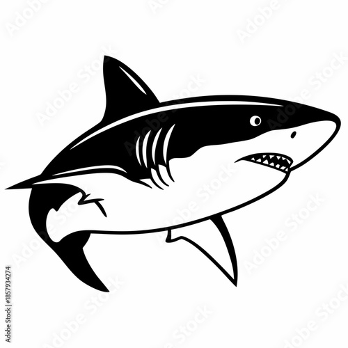 Simple Shark Vector Illustration