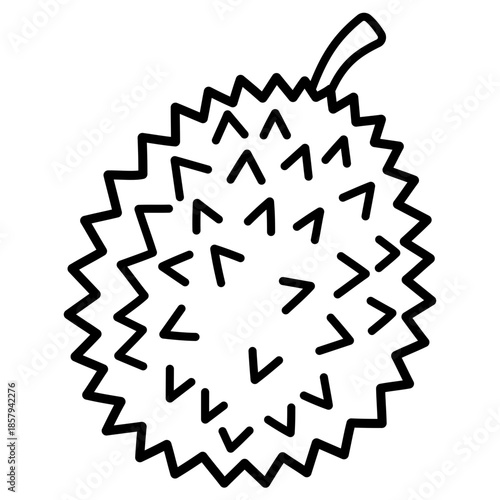 Durian Simple Illustration 