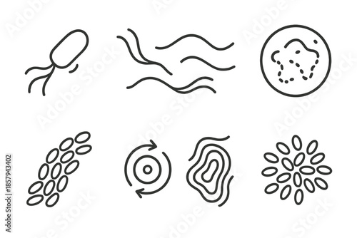 Bacterial Motion Icons. Line style icons of bacterial motion study: swimming bacterium, curved flagella, motion trace, microscopic