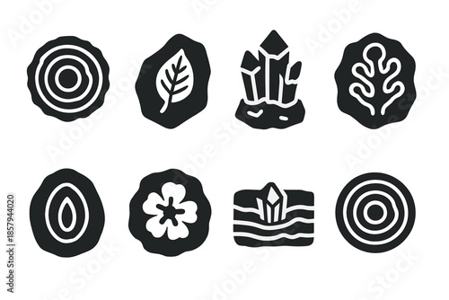 Fossil Icon Collection. Solid style icons of petrified plant research: fossilized tree core, stone leaf imprint, crystal bark mold