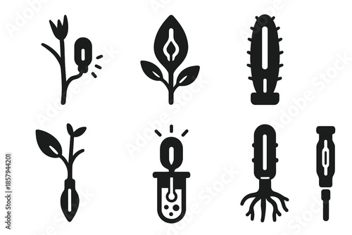 Glowing Xenon Vessel. Solid style icons of a dry plant vessel filled with xenon: translucent stem capsule, radiant fluid channel,