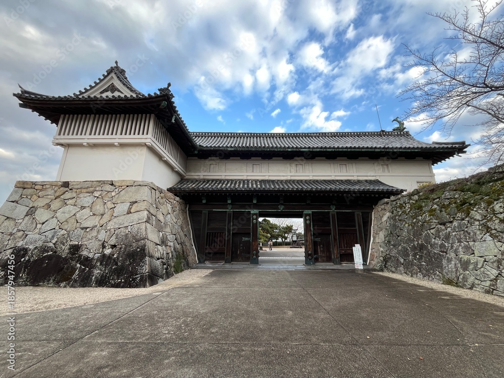 Fototapeta premium 佐賀城の門