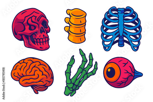 Gothic Anatomy Icons. Isometric vector illustration set Gothic Script Anatomy: gothic skull fragment, spine segment, rib cage part