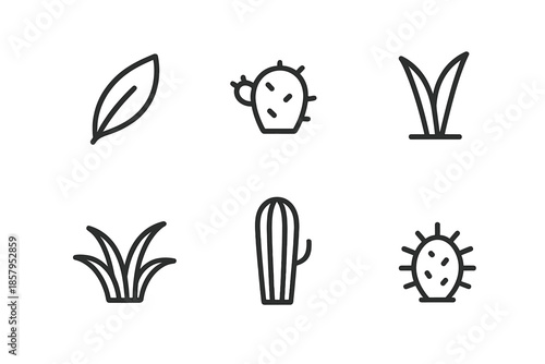 Desert Flora Icons. Line style icons of Desert Flora: succulent leaf, short cactus nub, desert sprout, ribbed stem, dry-land plant
