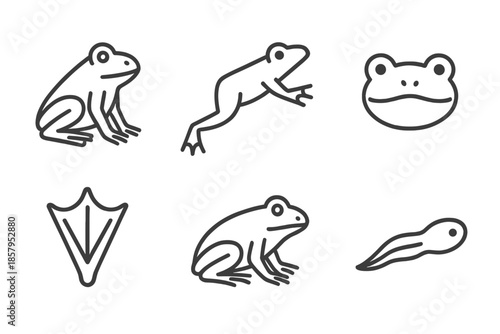 Frog Line Icons. Line style icons of Frog: sitting frog, jumping frog, frog head, webbed foot, curved back, small tadpole. No text