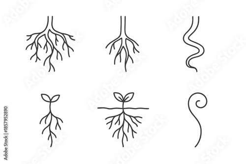 Root Line Icons. Line style icons of Root: branching root, single root line, twisted root shape, small sprout root, underground