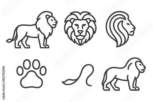 Lion Line Icons. Line style icons of Lion: standing lion, lion face, curved mane, strong body, paw outline, tail sweep. No text,