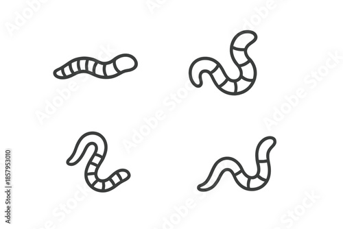 Line Style Soil Creatures. Line style icons of Soil Creatures: tiny crawler, segmented form, gentle curve, subtle head tip, light