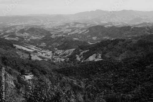 mountains in the fog