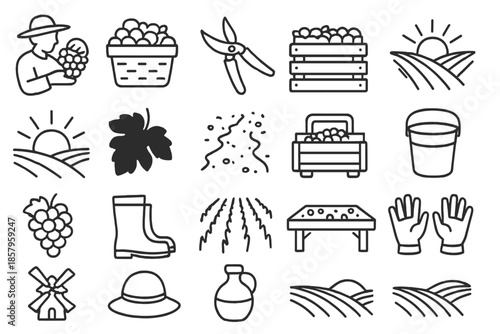 Vineyard Harvest Icons. Line style icons of vineyard harvest: grape picker, basket of grapes, shears, wooden crate, vineyard slope