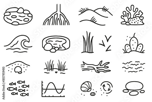Coastal Ecosystem Icons. Line style icons of Coastal Ecosystem: tide pool, mangrove root, sand dune, coral reef, wave crest, rock