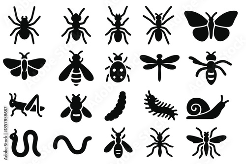 Insect Icon Collection. Solid style icons of Insect Life: spider, ant, beetle, butterfly, moth, bee, wasp, dragonfly, grasshopper,
