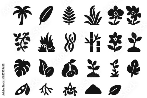Tropical Plant Icons. Solid style icons of Tropical Plant Life: palm, banana leaf, fern, orchid, bromeliad, vine, moss, liana,