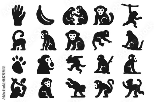 Primate Behavior Icons. Solid style icons of Primate Behavior: climbing hand, banana fruit, grooming pair, jumping motion, tail