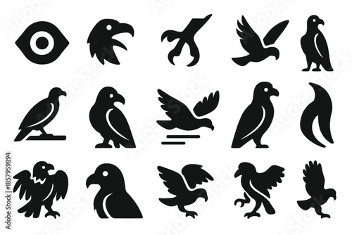 Wildlife Interaction Icons. Solid style icons of Wildlife Interaction: vulture eye, open beak, talon strike, wing flap, perch claw