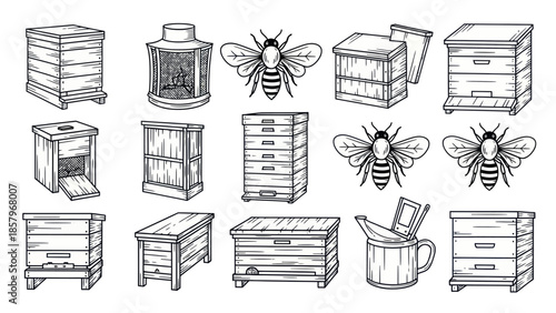 Beehive and bee collection with detailed engraved style illustration