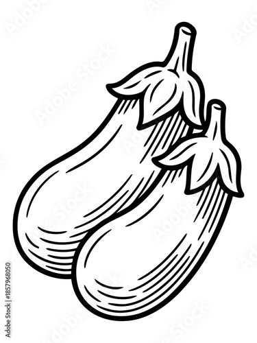 Elegant Eggplant Duo: A pair of meticulously crafted eggplant illustrations, ready to infuse your culinary projects and artistic endeavors with a touch of organic grace and detailed artistry.