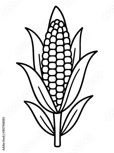 Corn in detail: A monochrome illustration of a solitary corn, meticulously rendered to showcase the intricate pattern of kernels within its husk and surrounding leaves.